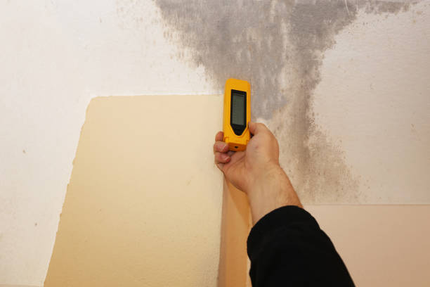 Best Post-Remediation Verification Testing  in Glenvar Heights, FL