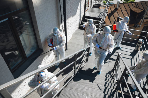 Best Black Mold Removal  in Glenvar Heights, FL
