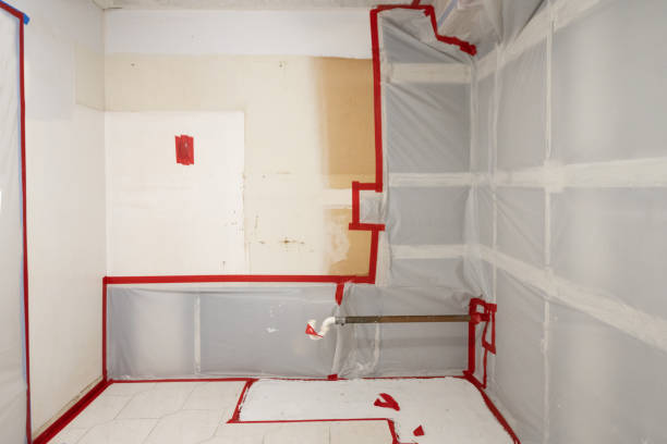 Best Mold Removal for HVAC Installations  in Glenvar Heights, FL