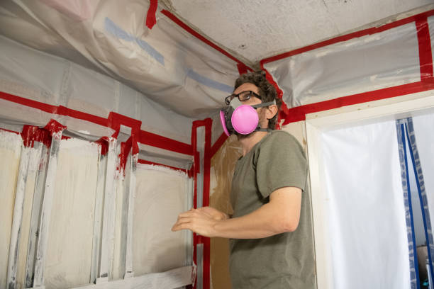 Best Environmental Consulting for Mold Prevention  in Glenvar Heights, FL
