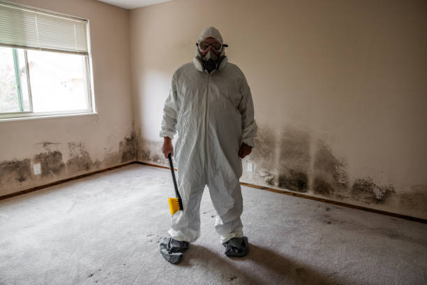 Best Mold Damage Restoration  in Glenvar Heights, FL