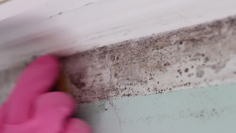 Best Real Estate Mold Inspection  in Glenvar Heights, FL